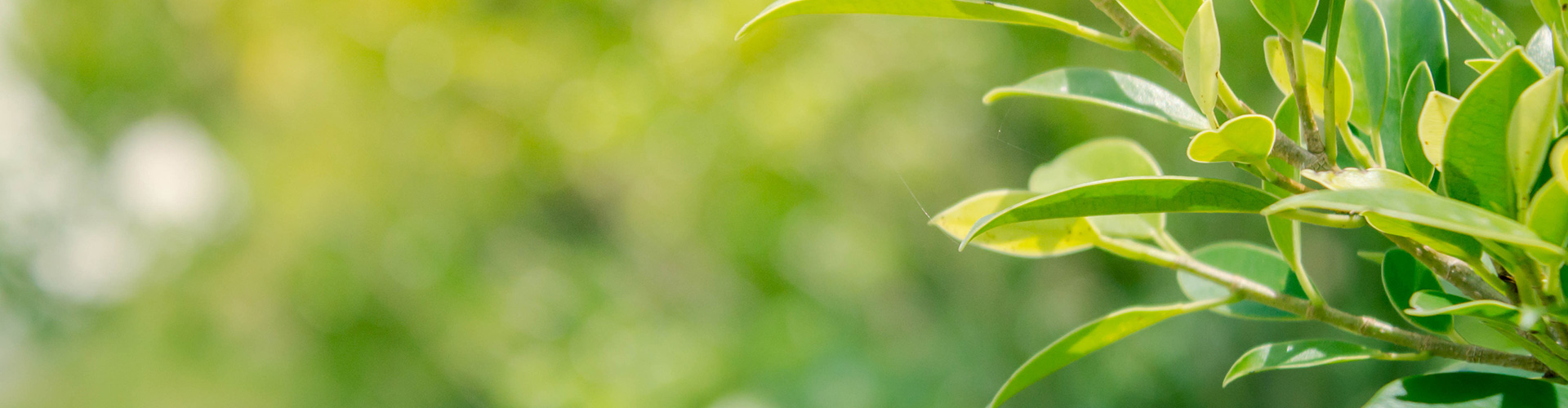 Mankind Pharma Environmental Policy 
