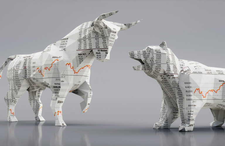 Shareholder Information